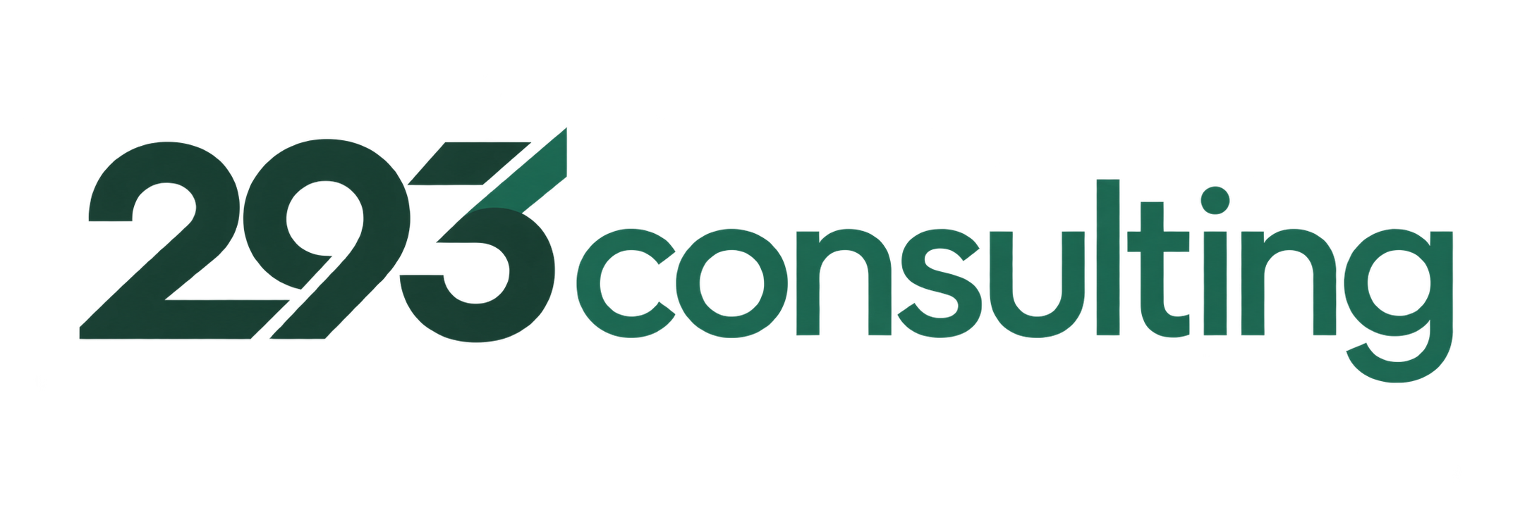 293consulting